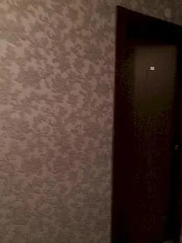 Отель Domus